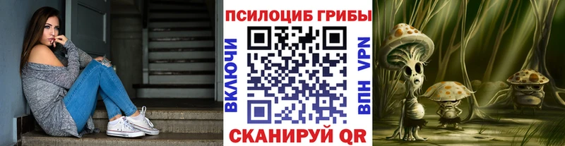 Купить где  Куса  Галлюциногенные грибы Psilocybine cubensis 